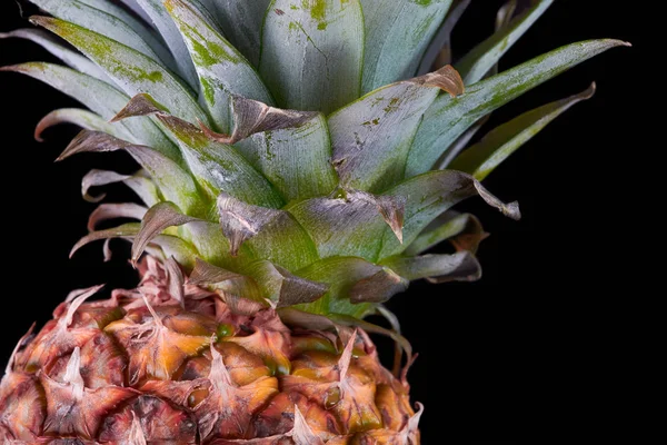 Ananas, samostatný — Stock fotografie