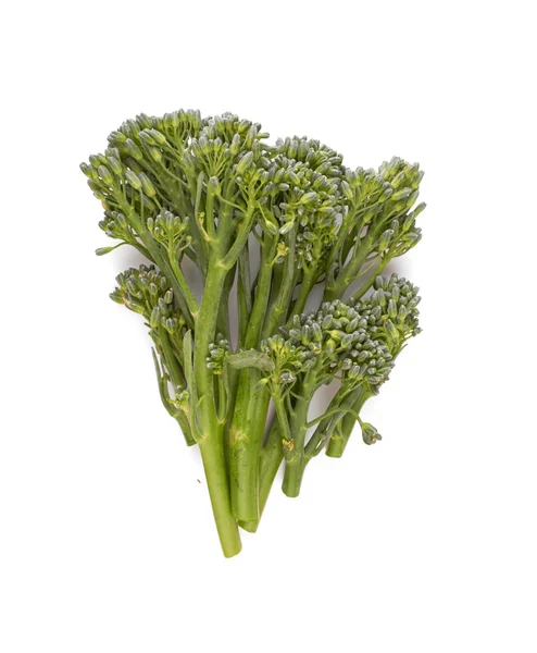 Sprouting Broccoli — Stock Photo, Image