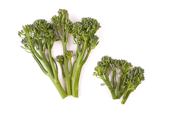 Sprouting Broccoli — Stock Photo, Image