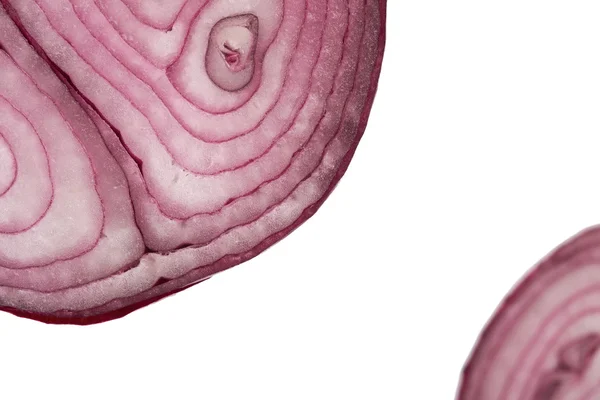 Red Onion Slices — Stock Photo, Image