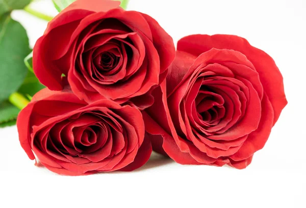 Three red roses — Stock Photo, Image