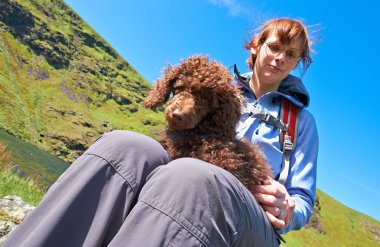 Köpek Yürüyüşü