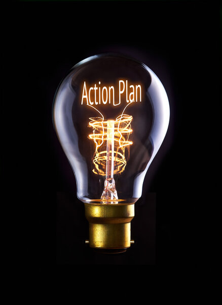 Action Plan Concept