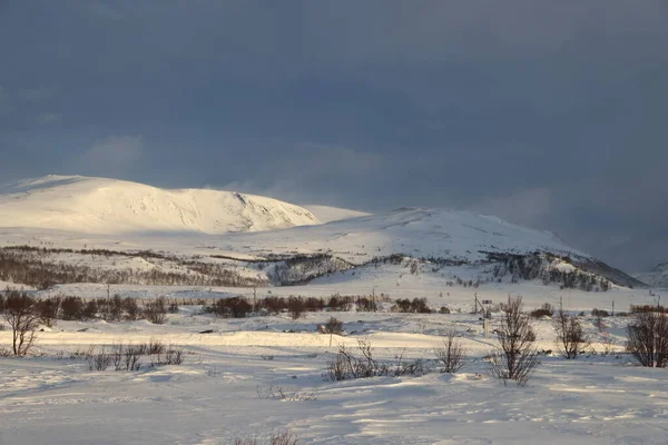 Winter Dovrefjell Nationalpark Norwegen — Stockfoto