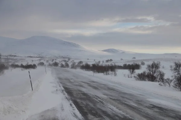 Norveç Teki Dovrefjell Ulusal Parkı Nda Kış — Stok fotoğraf