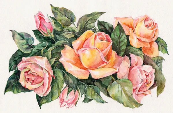 İllüstrasyon, suluboya, çizim, çiçek, yaprak, petal, kök, renk