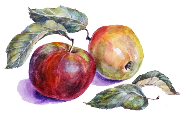 Ilustração de frutos aquarela — Fotografia de Stock