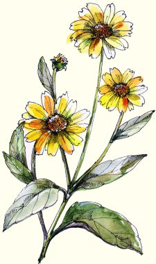 Çiçek.