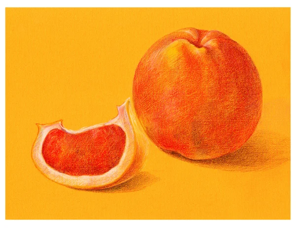 Illustration Grapefruit — Stockfoto