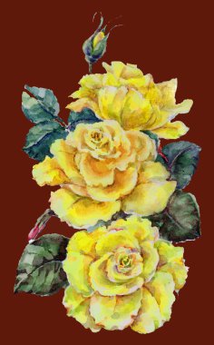 illüstrasyon, çiçek, gül, renkli, sulu boya, el