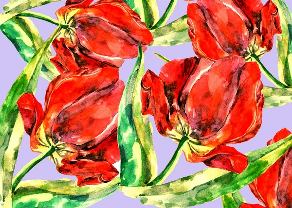 Červené tulipány bezešvé vzor šedé pozadí — Stock fotografie