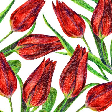 kırmızı lale desen