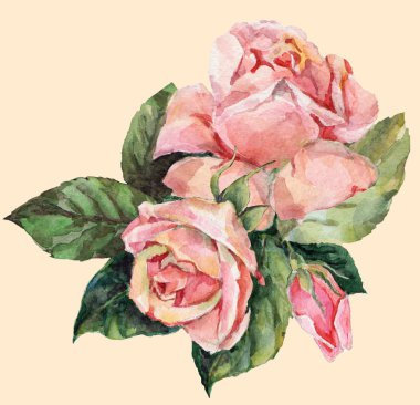 Bir buket pembe gül.