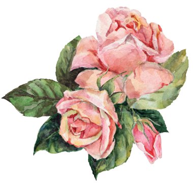 Bir buket pembe gül.