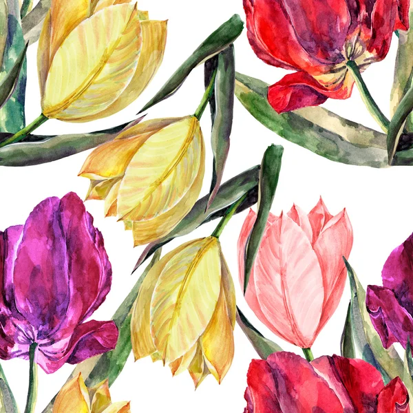 Tulips background — Stock Photo, Image