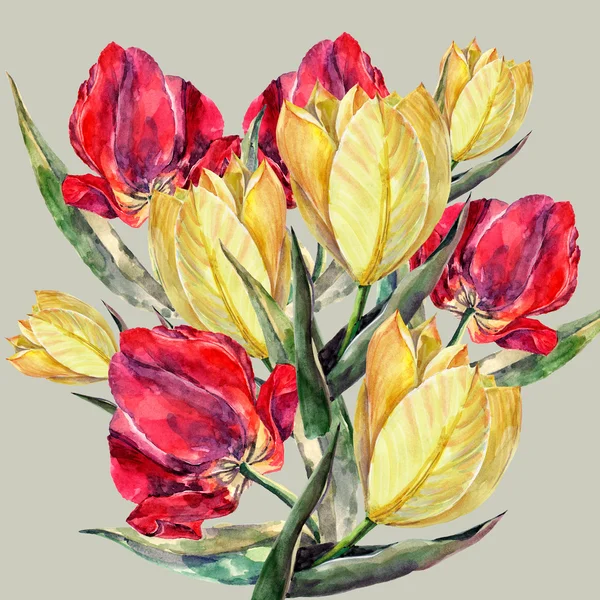 Rode en gele tulpen — Stockfoto