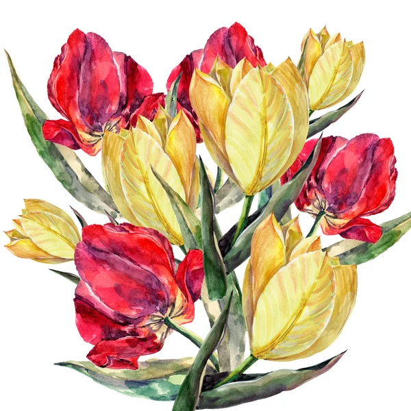 Tulipes rouges et jaunes — Photo