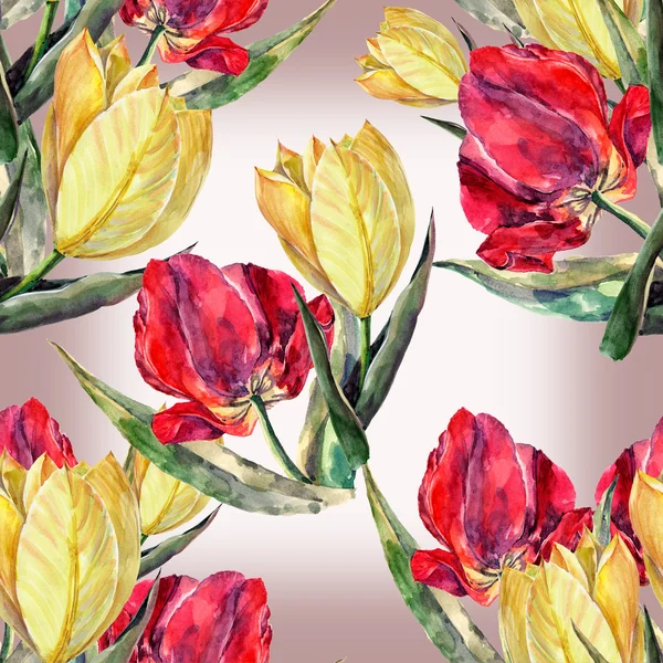 Tulipanes rojos y amarillos — Foto de Stock