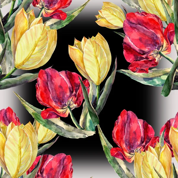 Red and yellow tulips — Stock Photo, Image