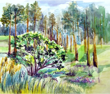 Orman, doğa illüstrasyon