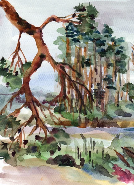 Las, charakter ilustracja — Zdjęcie stockowe