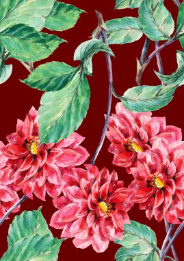 kırmızı yıldız çiçeği