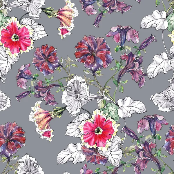  Seamless pattern watercolor flowers petunia with leaves on gray background.  Beautiful pattern for decoration and design.