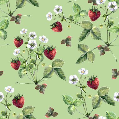  Kusursuz desenli suluboya meyve yapraklı. Yeşil arka planda çiçekler olan çalı çileği. Dekorasyon ve tasarım için güzel desen.