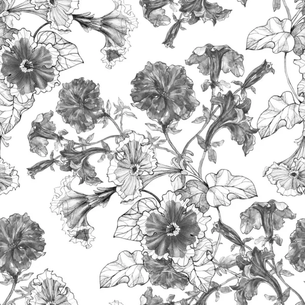 Monochrome Flowers Petunia White Background Seamless Pattern — Stock Photo, Image
