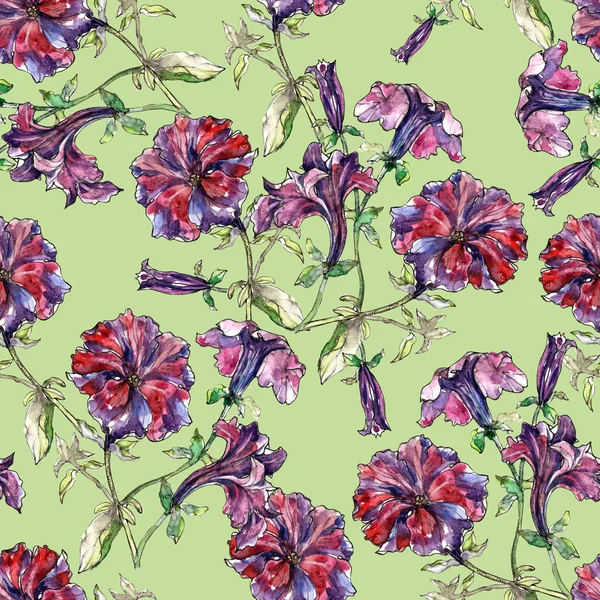 Watercolor flowers petunia on green background. Floral seamless pattern.