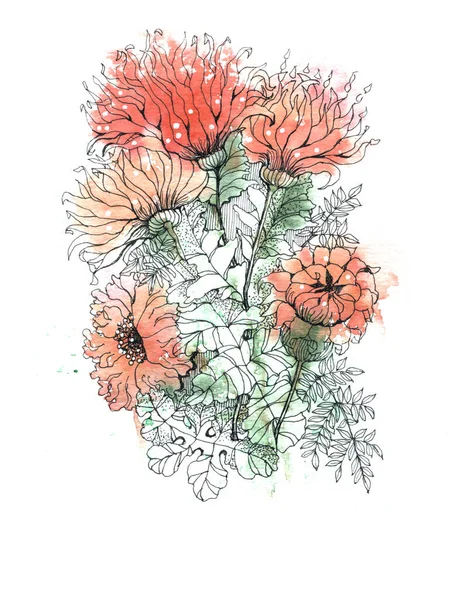 Tuinbloemen Chrysant Geschilderd Aquarel Witte Achtergrond Illustratie Voor Decoratie — Stockfoto