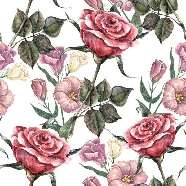 Садові Квіти Троянди Ірисовою Трояндою Пофарбовані Акварель Білому Тлі Безшовний — стокове фото