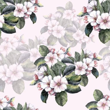 Bahar çiçeği suluboya yapraklı elma. Pembe arka planda çiçeksiz desen.