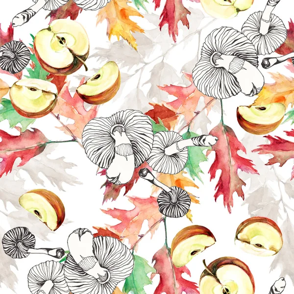 Liście Dębu Akwarelowego Plastrami Jabłka Grzybów Graficznych Białym Tle Jesienny — Zdjęcie stockowe