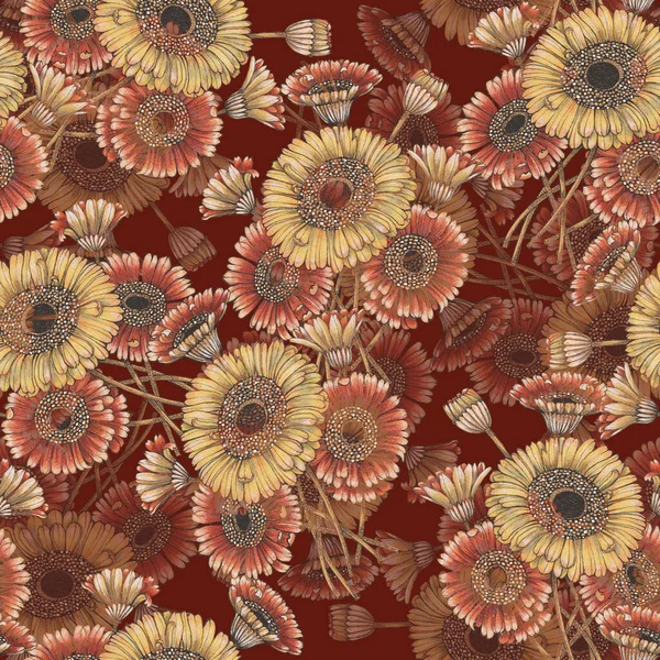 Suluboya Çiçekleri Gerbera Dekoratif Kağıtlar Kumaşlar Için Çiçeksiz Desen — Stok fotoğraf
