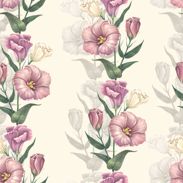 Акварельні Квіти Ірисові Троянди Відтінком Квітковий Безшовний Візерунок Декоративних Паперів — стокове фото