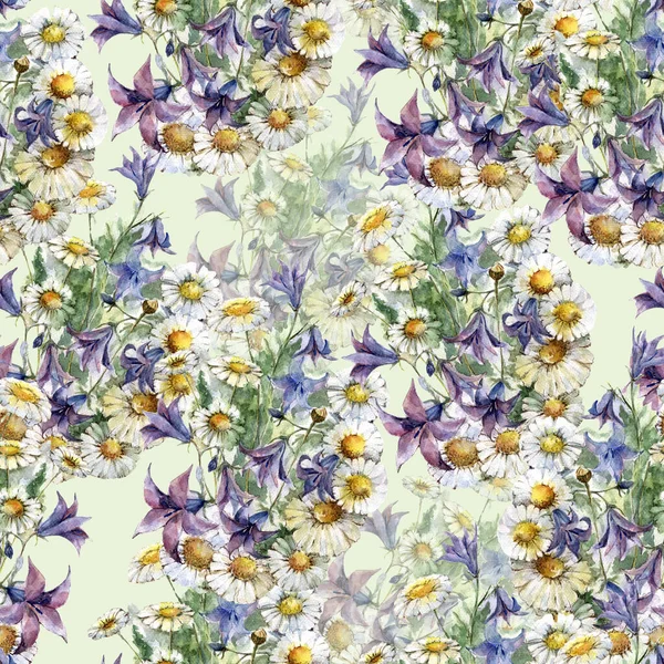 Hintergrund Mit Aquarellierten Wiesenblumen Aus Kamille Und Glocke Florales Nahtloses — Stockfoto