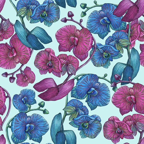 Fleurs Exotiques Orchidée Avec Bourgeon Sur Fond Bleu Peinture Sans — Photo