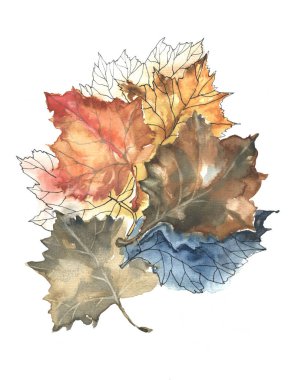 Bahçe yapraklı akçaağaç suluboyayla boyanmış. Beyaz arkaplanda sonbahar illüstrasyonu.