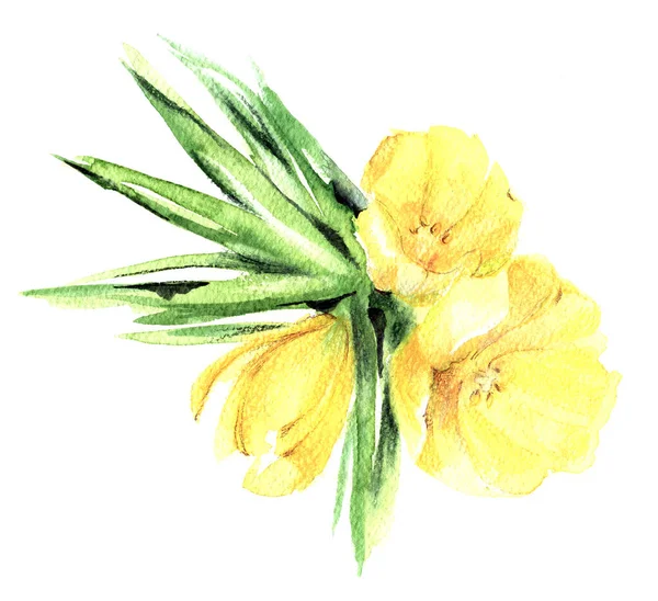 Des Fleurs Jardin Tulipe Jaune Peinte Aquarelle Avec Feuille Illustration — Photo