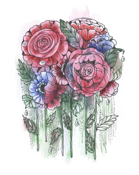 Kerti Virágok Bazsarózsa Festett Akvarell Levél Virágos Illusztráció Fehér Alapon — Stock Fotó