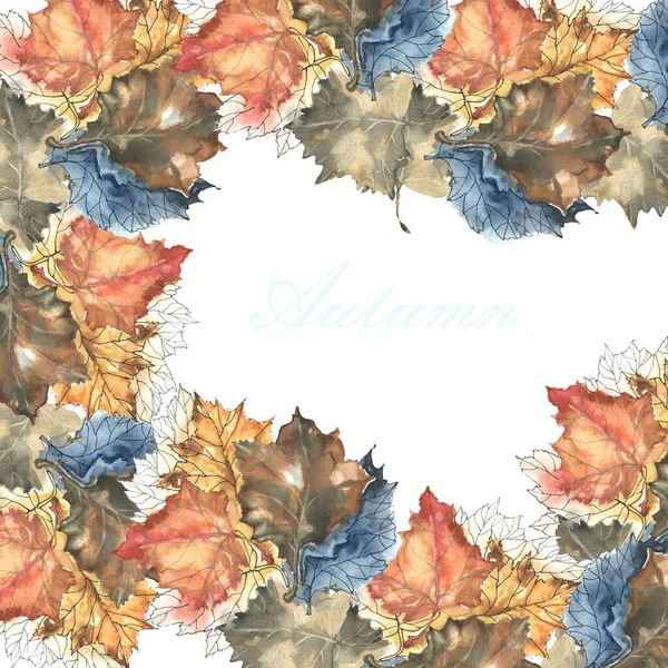 Watercolor Leaves Maple Tree White Background Autumn Illustration Create Your — Stock Photo, Image