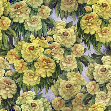 Mor arka planda yeşillik olan suluboya çiçekleri. Dekorasyonlar, tekstil ve kağıtlar için çiçek bileşimine sahip kusursuz desen.