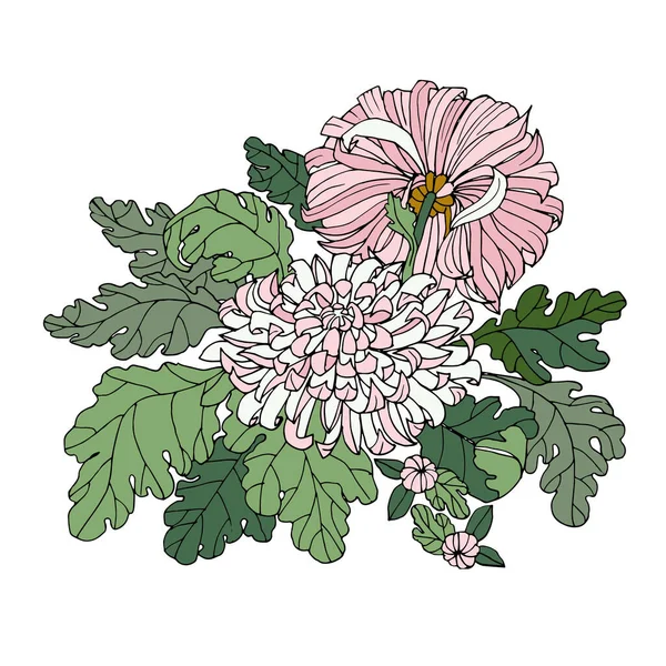 Graphic Branch Chrysanthemum Illustration Create Your Ideas — Stockfoto