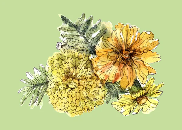 Watercolor Flowers Marigold Green Background Illustration Decorating Your Ideas — Foto Stock