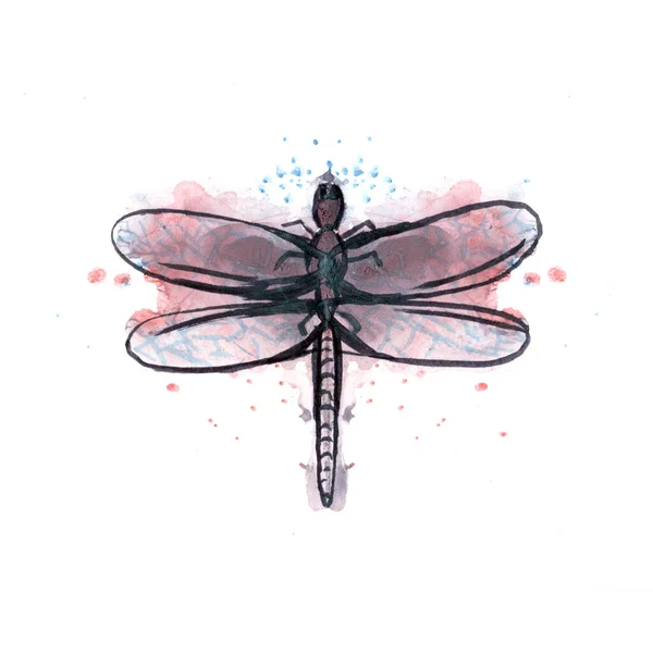 Watercolor Dragonfly Watercolor Splash Background — Stockfoto