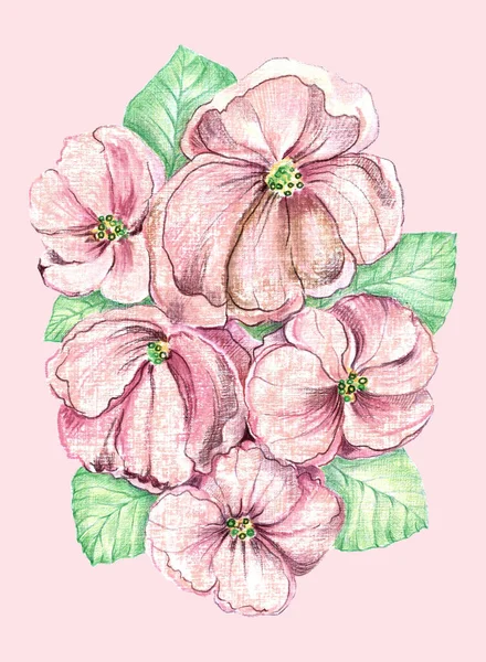 Watercolor Blooming Flowers Foliage Pink Background Floral Composition Decorations Textiles — Stok fotoğraf