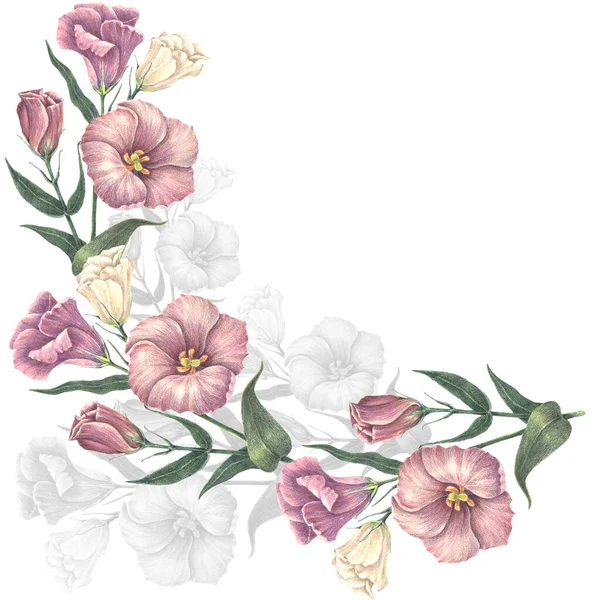 Floração Aquarela Flores Com Folhagem Sobre Fundo Branco Canto Floral — Fotografia de Stock