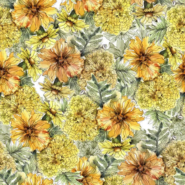 Patrón Sin Costura Acuarela Con Flores Caléndula —  Fotos de Stock