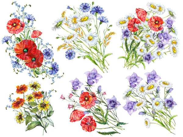Wzór Akwarelowym Zestawem Kwiatów Łąki Kompozycja Kwiatowa Papieru Dekoracyjnego — Zdjęcie stockowe